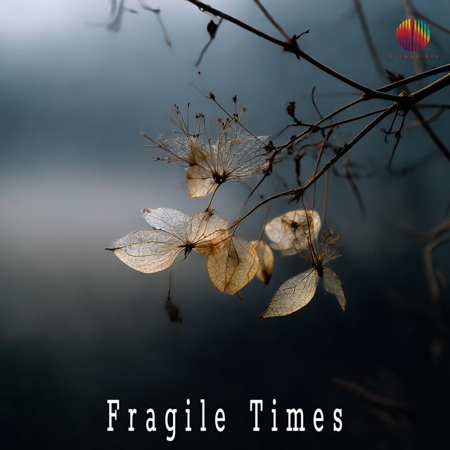 RITMOVIBRA - 'Fragile Times' [Ringtone]