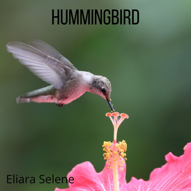 Eliara Selene - 'Hummingbird' [Ringtone]