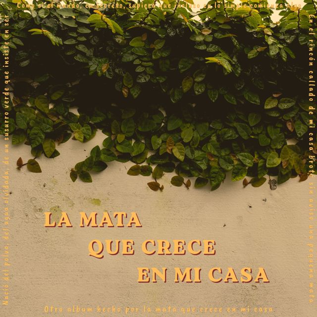 La Mata Que Crece En Mi Casa - 'Sabes Que' [Ringtone]