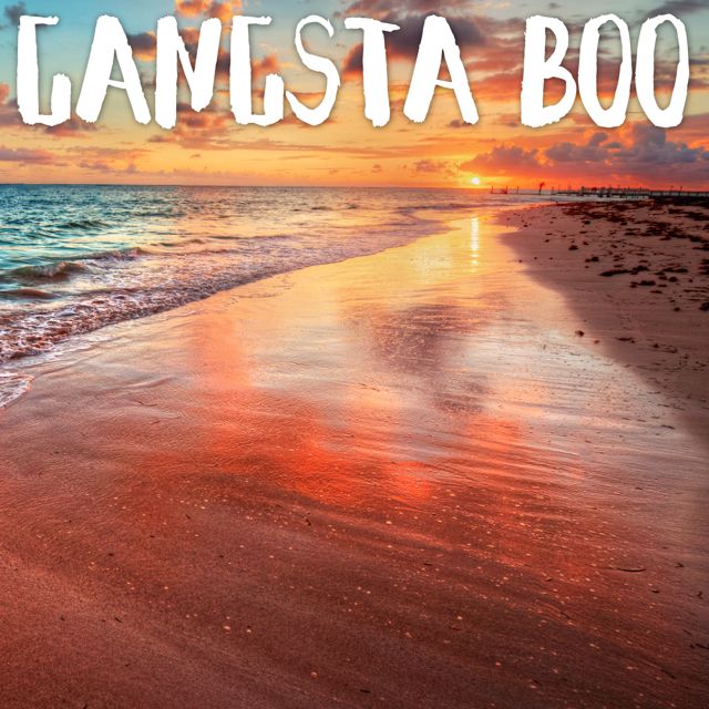 Tropical Jawns - 'Gangsta Boo (Marimba)' [Ringtone]