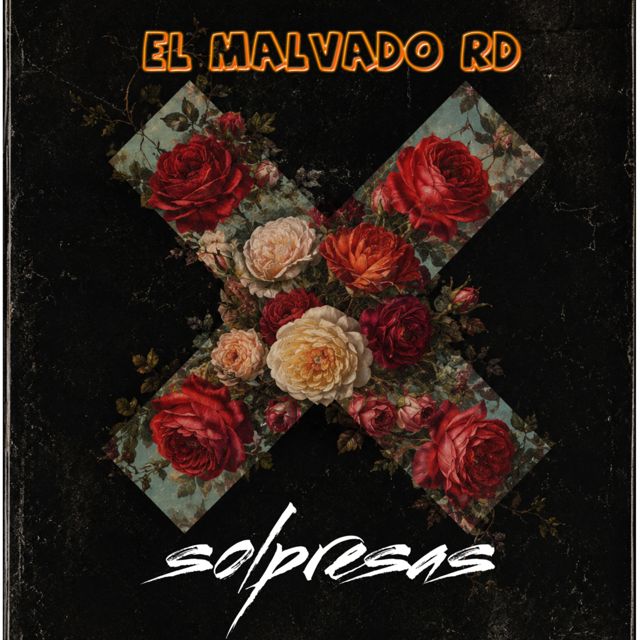 el malvado RD - 'solpresas' [Ringtone]