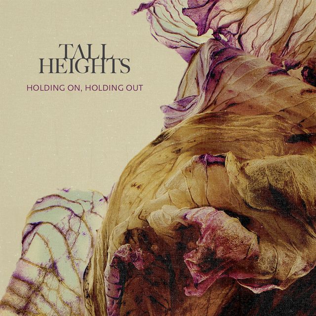 Tall Heights - 'Only' [Ringtone]