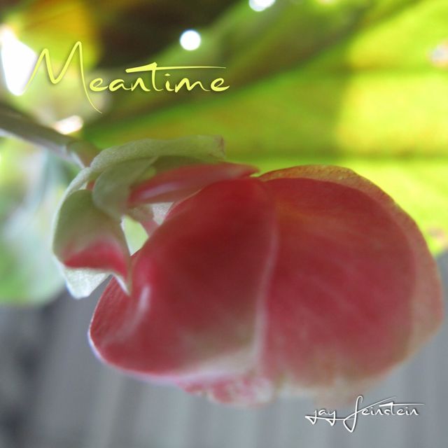 Jay Feinstein - 'Meantime' [Ringtone]