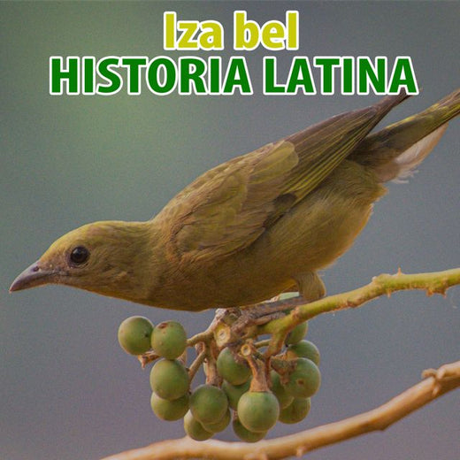 Iza Bel - 'Història Latina (Nu Ground Foundation Classic Vocal) (feat. Nu Ground Foundation)' [Ringtone]