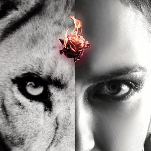 Marya Stark - 'Breaking The Silence (Rose of Resistance Mix) (feat. Sasha Rose)' [Ringtone]