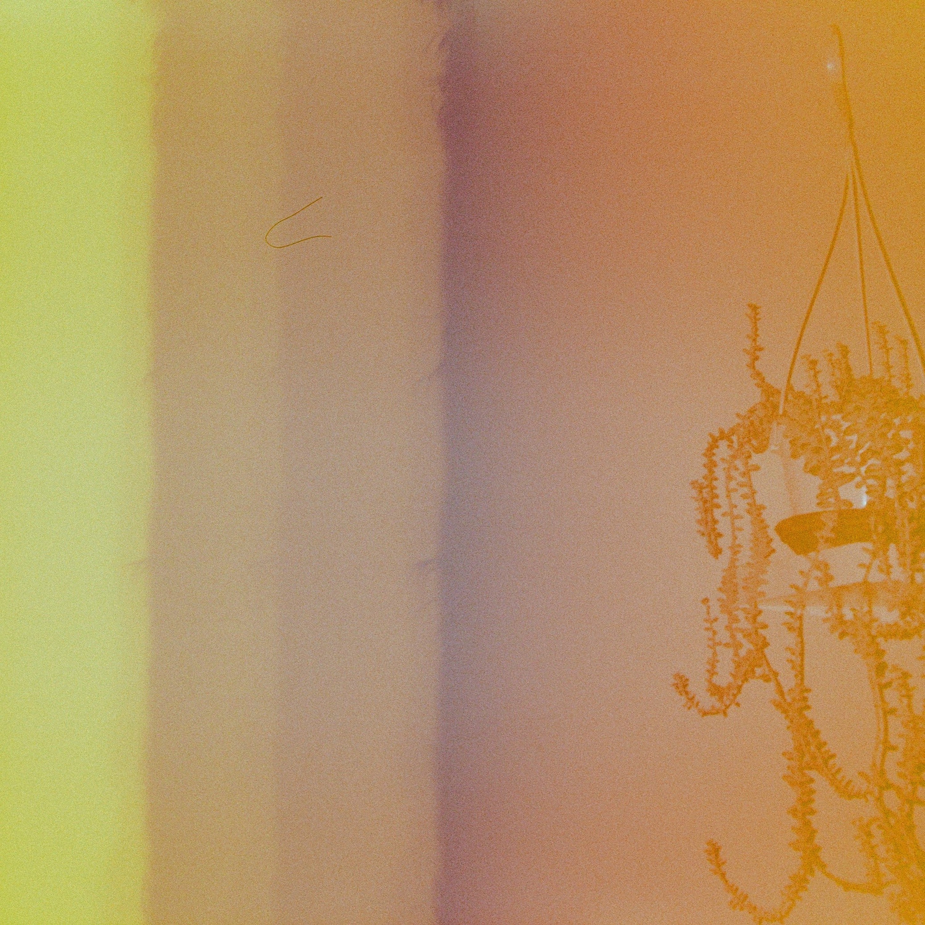 People I Love - 'The Witch' [Ringtone]