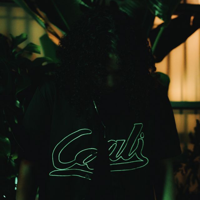 Ovi Wood - 'Risk It All' [Ringtone]