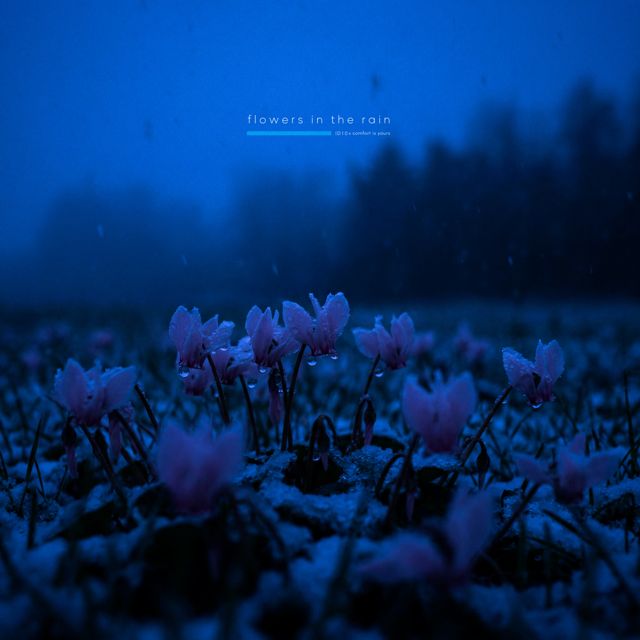 ID10 - 'flowers in the rain' [Ringtone]