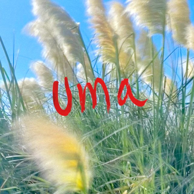 LAP - 'UMA' [Ringtone]