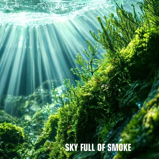 Gorilla Cha - 'Sky Full of Smoke' [Ringtone]
