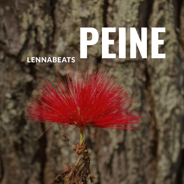 Lennabeats - 'Peine' [Ringtone]