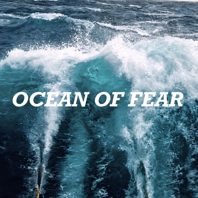 Seagulls - 'Ocean of Fear' [Ringtone]