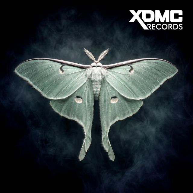 LVL96 - 'I'm Found (Extended)' [Ringtone]