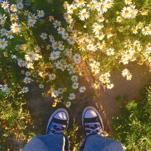 Bluu! - 'think too much (feat SUFFXR) (feat. Suffxr)' [Ringtone]