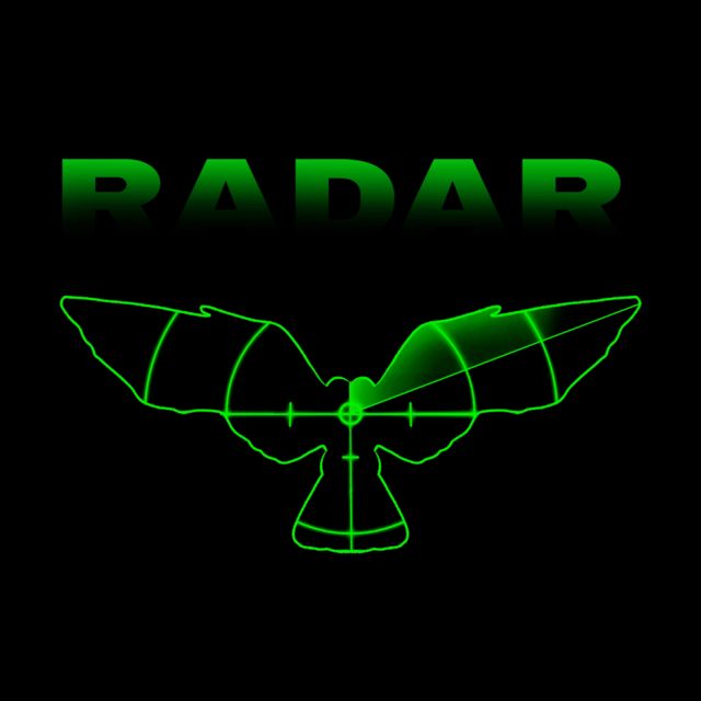Cinderella Gray - 'Radar' [Ringtone]