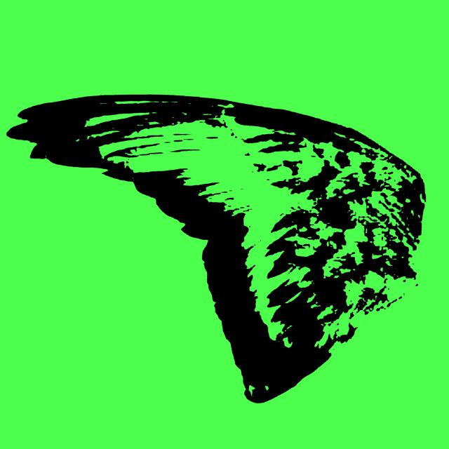 Wing Anatomy - 'My Favorite Blanket' [Ringtone]