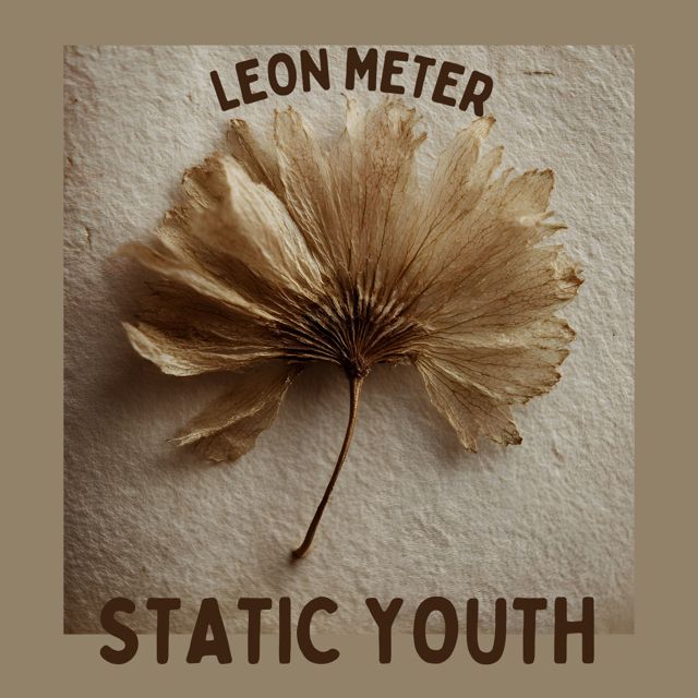 Leon Meter - 'Static Youth' [Ringtone]