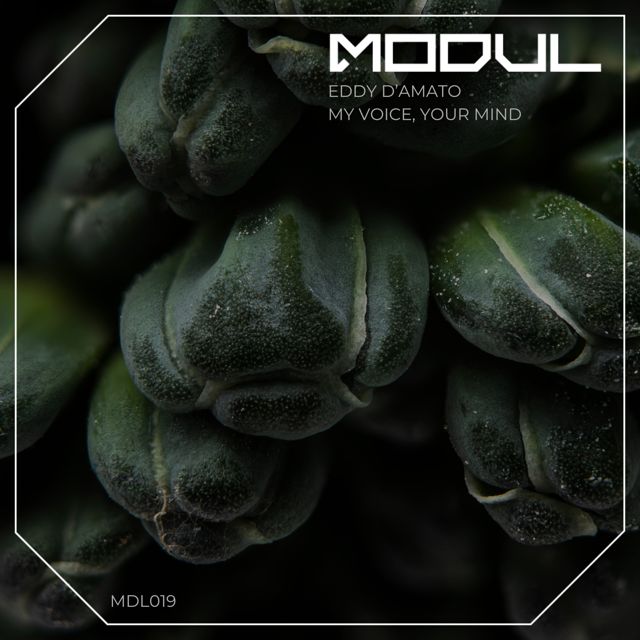 Eddy D'Amato - 'My Voice, Your Mind' [Ringtone]