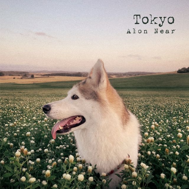 Alon Near - 'Tokyo (feat. Itai Kriss)' [Ringtone]