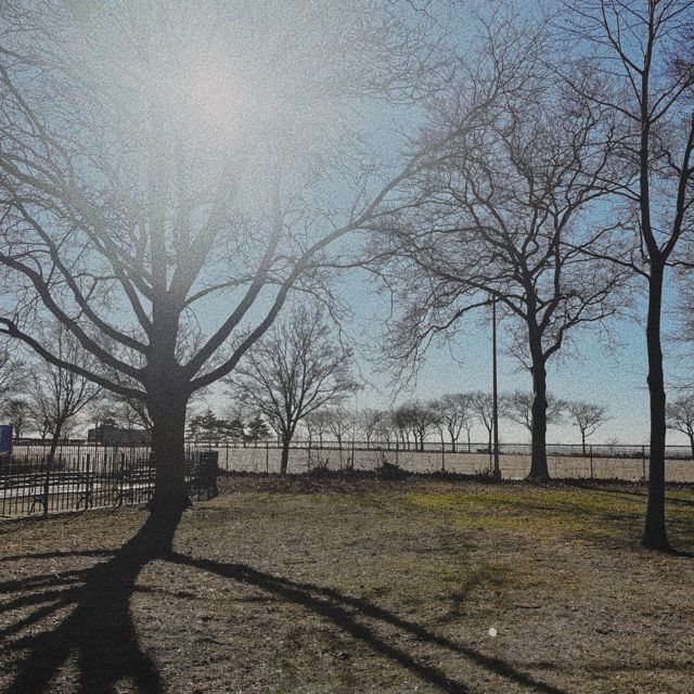 Whitepaddedwalls - 'clueless' [Ringtone]