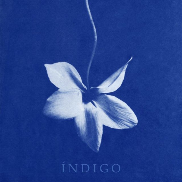 Nietch - 'ÍNDIGO (feat. Noturno84)' [Ringtone]