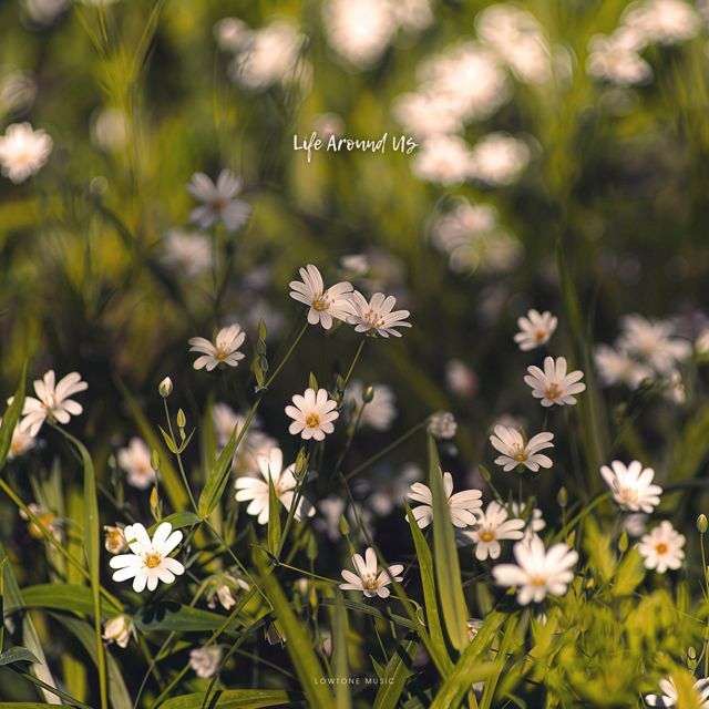 Lowtone Music - 'Life Around Us' [Ringtone]