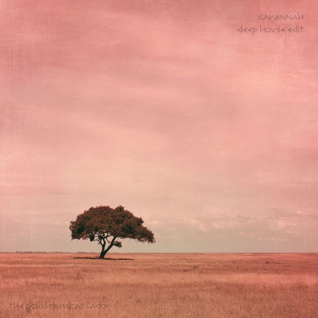 The Polish Ambassador - 'Savannah (Deep House Edit) (feat. Deka Sul)' [Ringtone]