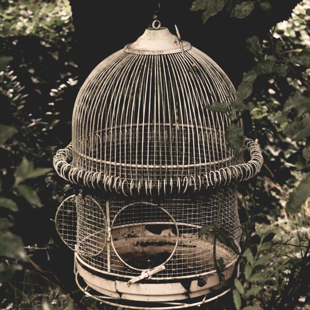 7Seven - 'Maybe not today?' [Ringtone]