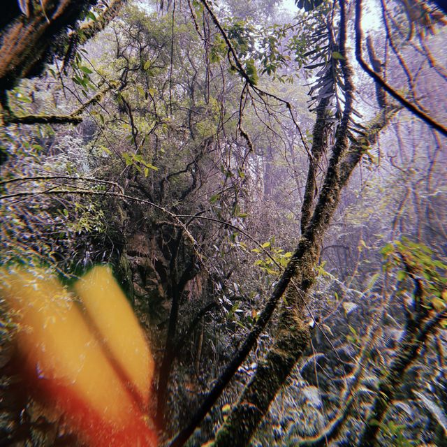 Gladiador - 'Agradecer' [Ringtone]