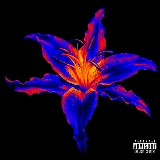 Wxrmy - 'lil birdie' [Ringtone]