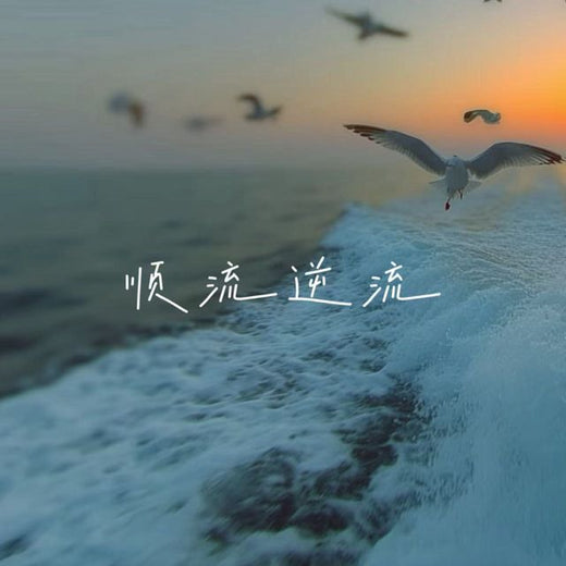 林诗曼 - '顺流逆流' [Ringtone]
