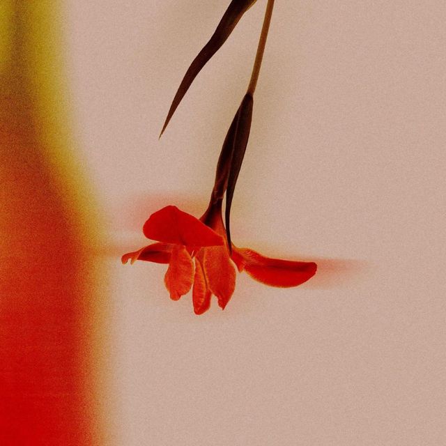 Otrebor - 'Digital Flower' [Ringtone]