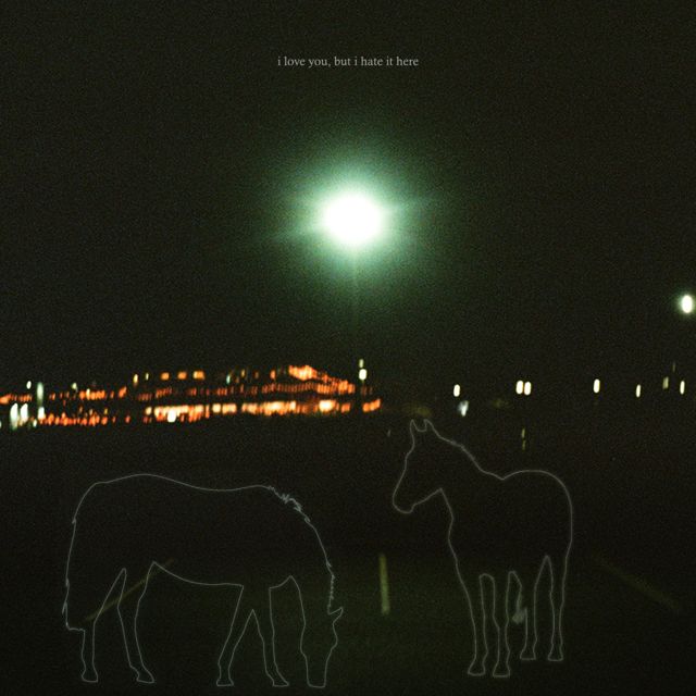 Swiss Army Wife - 'It Used To Snow' [Ringtone]