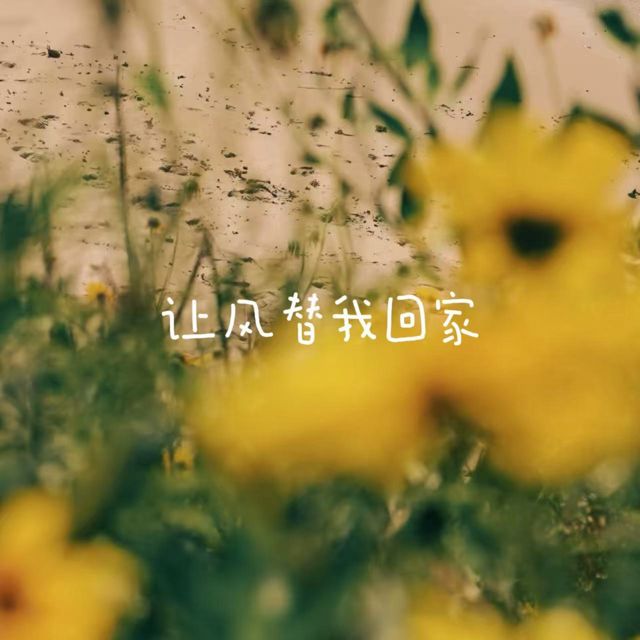bo一霖 - '让风替我回家' [Ringtone]