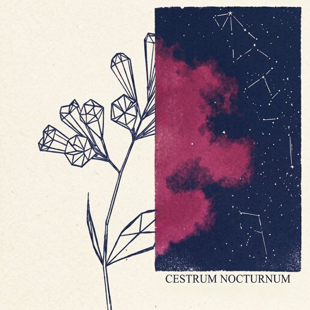 ArcaneWave - 'Cestrum' [Ringtone]