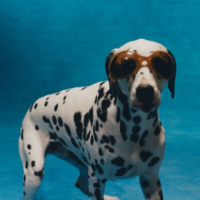 Santangelo - 'Gold' [Ringtone]