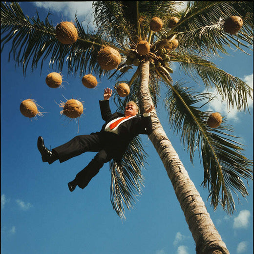 Ringtones.com - 'Coconut Tree' [Ringtone]
