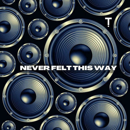 TroyBoi - 'Never Felt This Way' [Ringtone]