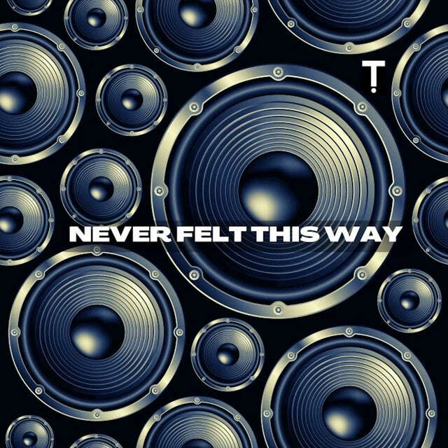 TroyBoi - 'Never Felt This Way' [Ringtone]