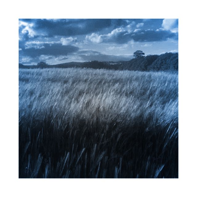 Zunny - 'Error1Dream' [Ringtone]