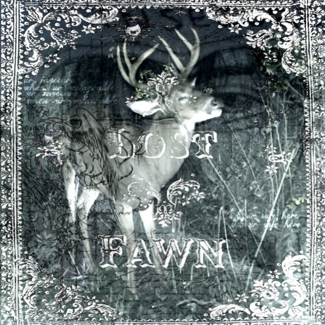 lostfawn - 'ur insecure when ur vulnerable but ur safe here' [Ringtone]