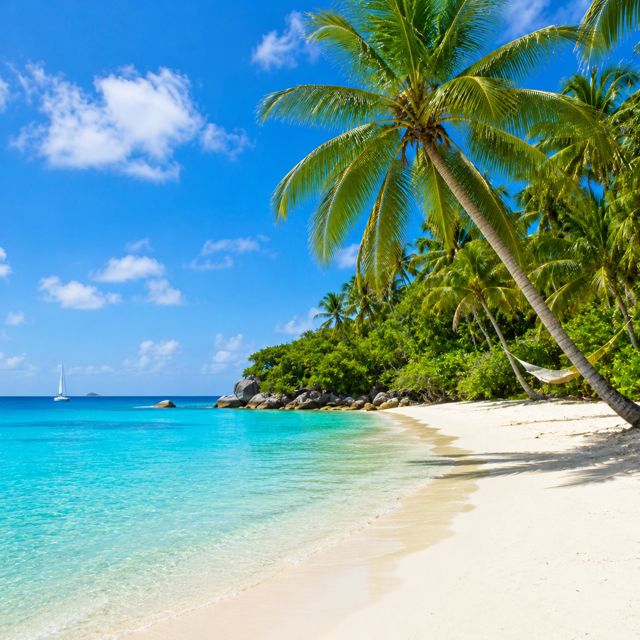 David Alan Johnson - 'Another Day In Paradise (New Country)' [Ringtone]
