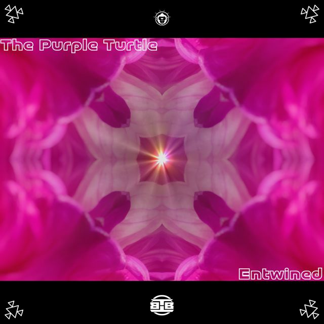 The Purple Turtle - 'Falling in Place (feat. Advanced Suite)' [Ringtone]