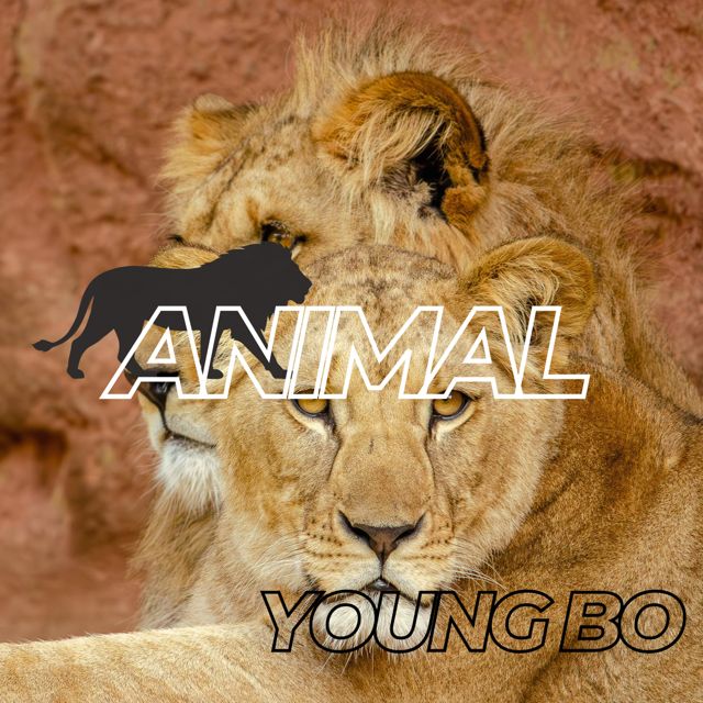 Young Bo - 'ANIMAL' [Ringtone]