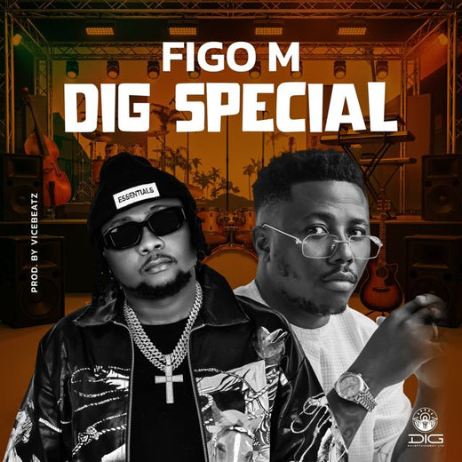 Figo M - 'DiG Special' [Ringtone]