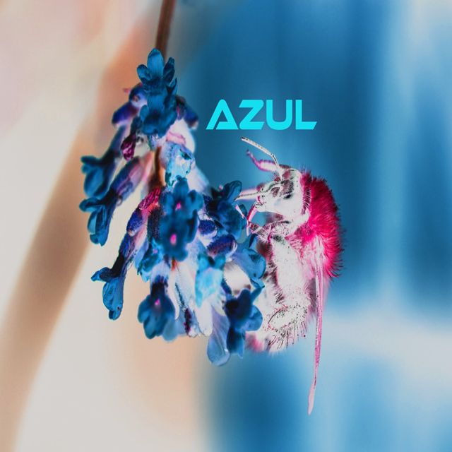amgine - 'azul' [Ringtone]