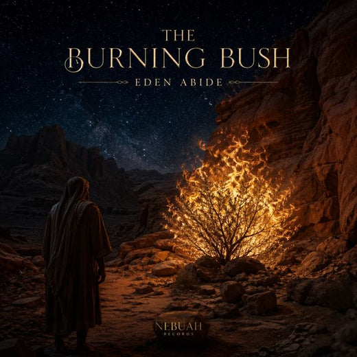 Eden Abide - 'When the Light Began' [Ringtone]