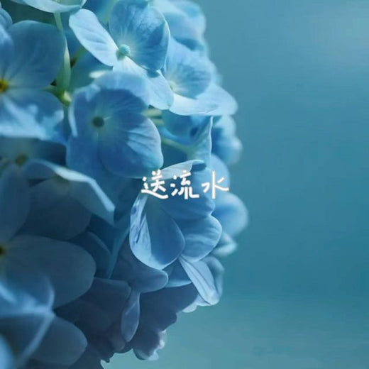 白兰滴 - '送流水 (来电版)' [Ringtone]