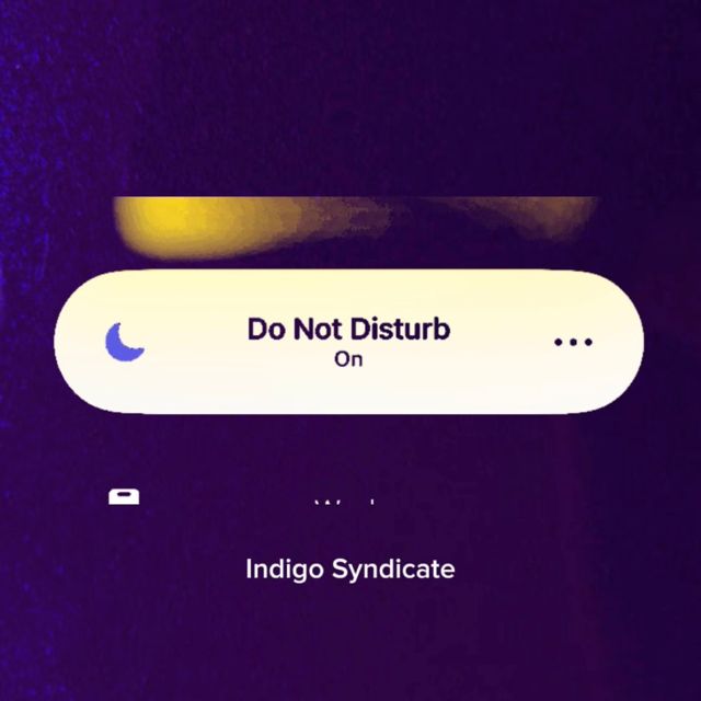 Indigo Syndicate - 'DND' [Ringtone]