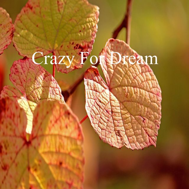 Terry Mills - 'Crazy For Dream' [Ringtone]